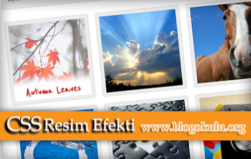 Blogger Resim Efekti ~ CSS image hover effect